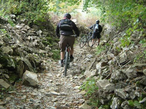 scende dal Monte Alfeo ma dalla parte opposta del cappello da dove siamo scesi noi.