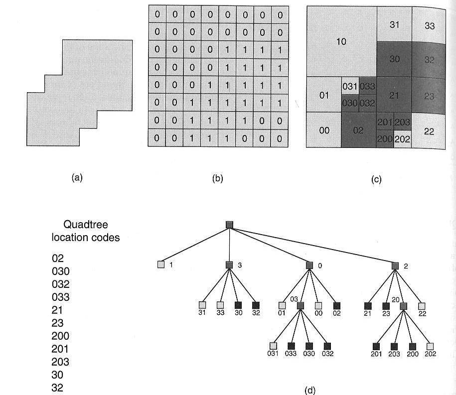 Quadtree Suddivisione ricorsiva dell'immagine in quattro parti L'algoritmo si ferma quando il valore in un