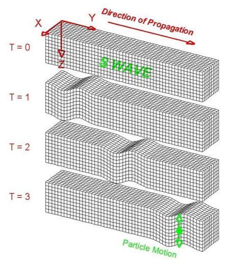 Onde di propagazione di un evento sismico S-Waves: Onde Secondarie Si tratta del secondo tipo di onde che si manifestano durante un evento sismico Le S-Waves si muovono più lentamente delle P-Waves e