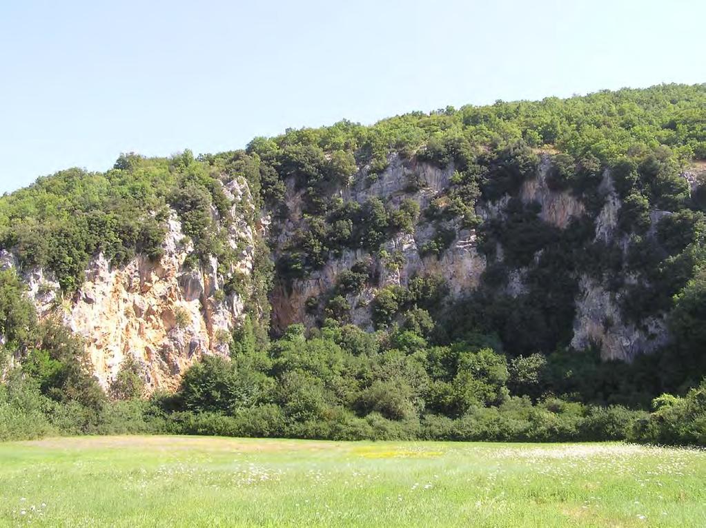 RISORSE: GEOLOGIA Ex Cava di calcare all incrocio fra la Provinciale per Pereto e la strada per Villa Romana. Calcari a Briozoi del Miocene.