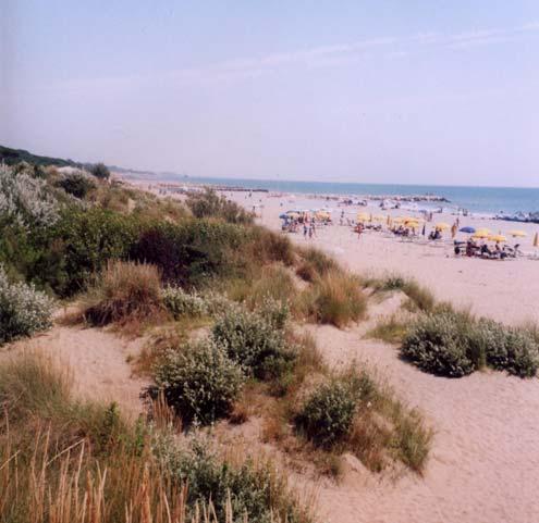Nuclei di case. Alle spalle della spiaggia vi è una fascia a pineta con strutture residenziali, più nell entroteraa aree agricole.