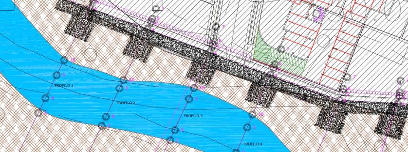 quadro di un'analisi idraulica, di una valutazione complessiva delle dinamiche territoriali, di una valutazione degli interventi di ricalibratura