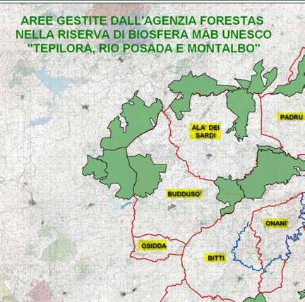 Agenzia Forestas in