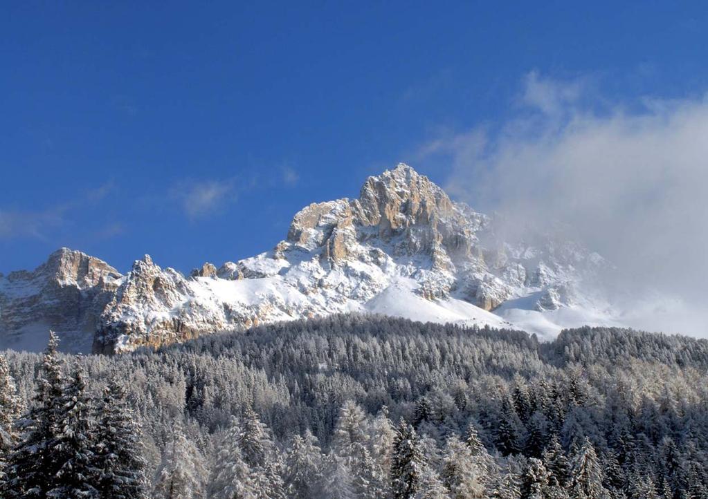 Le nostre cooperazioni 10 Il mondo Vitalpina - Dall Ortles alle Dolomiti. nessere generato da trattamenti a base di prodotti locali e naturali ed il gusto di una cucina leggera e tradizionale.