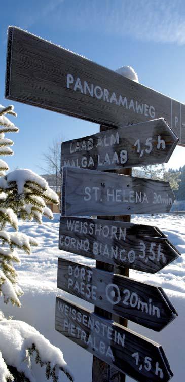 Servizio per escursionisti del programma settimanale 3-5 escursioni guidate invernali e con le ciaspole nella zona programma sportivo con