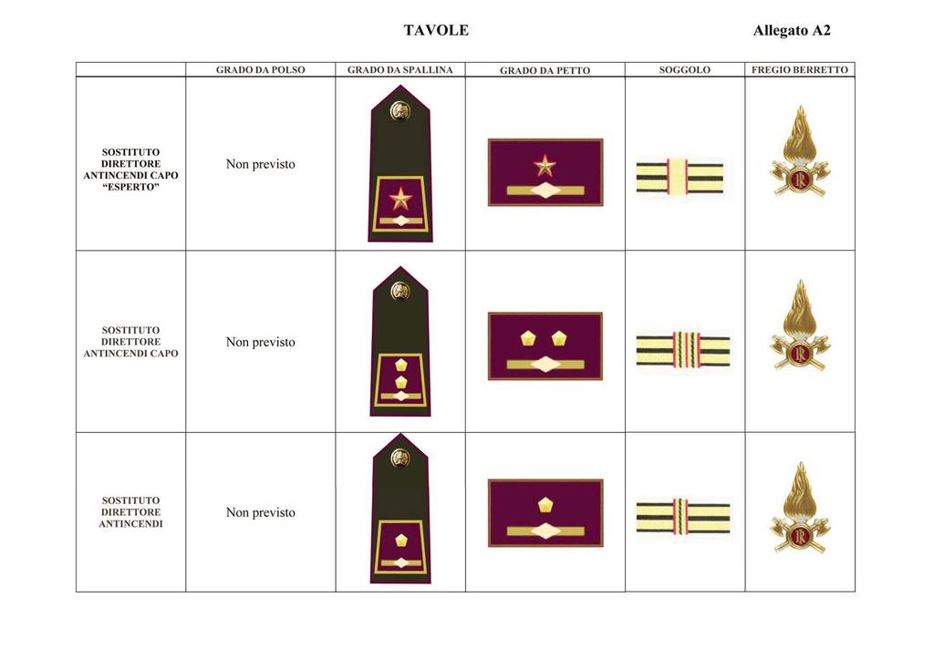 TAVOLE Allegato A2 SOSTITUTO DlRETIORE CA PO "ESPERTO" SOSTITUTO