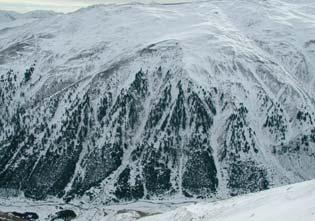 Crosta da rigelo ricoperta da neve.