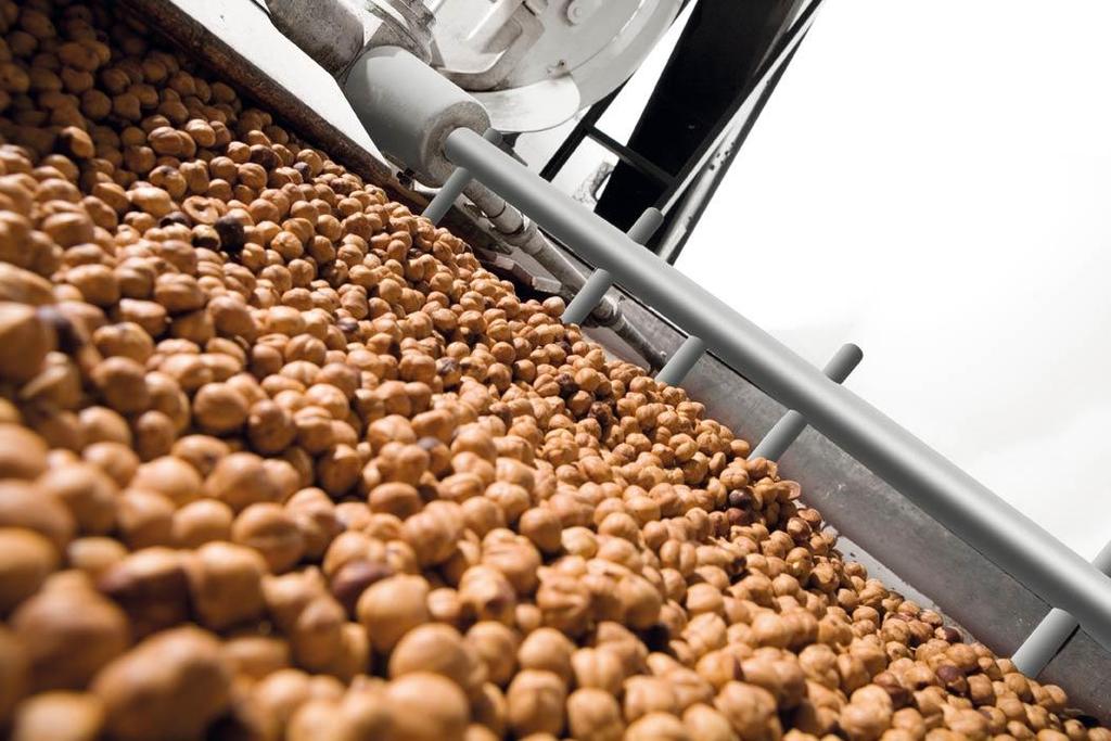 Dolce Supervisione Come garantire la perfetta tostatura delle nocciole nelle linee di produzione di una importante azienda dolciaria italiana Le nocciole sono il perfetto complemento di cioccolate e
