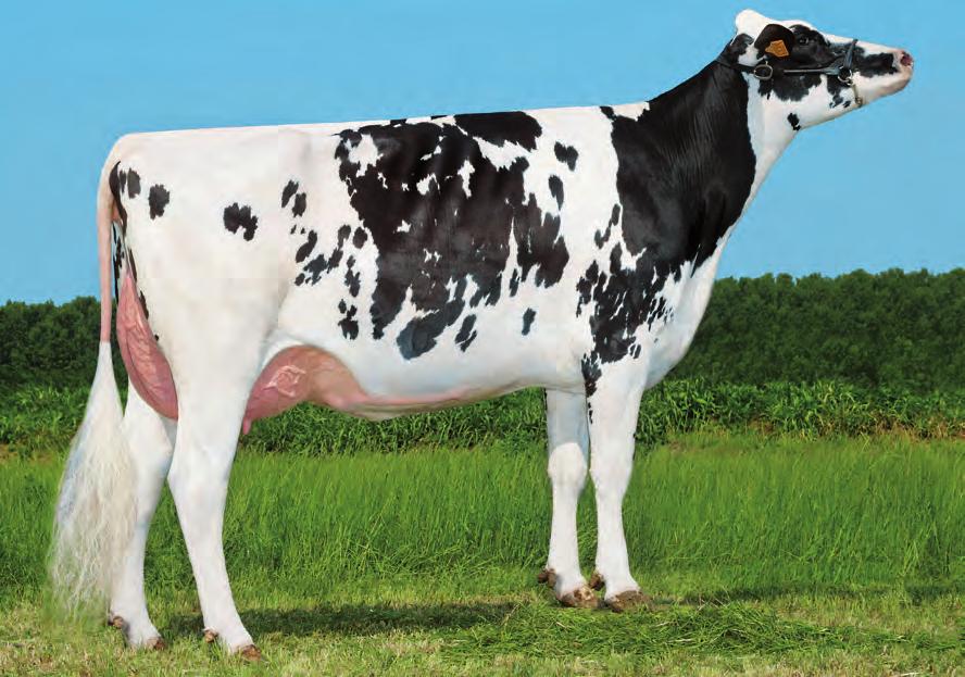 Provati GTPI Epic CA000011104016 GENERVATIONS EPIC TY Super x (VG-85) Baxter x (VG-86 DOM) Shottle x (VG-87 GMD DOM) O-Man x (EX-90 GMD DOM) Mtoto SUPER X BAXTER X SHOTTLE X O-MAN BOLIVER X O-MAN