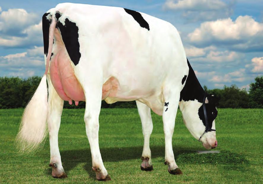 Provati GTPI Mayflower US003008897582 S-S-I SNOWMAN MAYFLOWER-ET TV TL TY TD Snowman x (EX-91 DOM) Socrates x (VG-86-DOM) O-Man x (EX-90-GMD-DOM) Manat x (EX-91-GMD-DOM) Celsius SNOWMAN X SOCRATES X