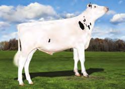 Chops x Shotglass x (VG-86 DOM) Planet x (EX-90 2E GMD DOM) O-Man x (VG-87) Adam x (GP-80) Throne CHOPS X SHOTGLASS X PLANET X O-MAN MOGUL X MAN O MAN Hurricane US003125066355 BACON-HILL HURRICANE-ET