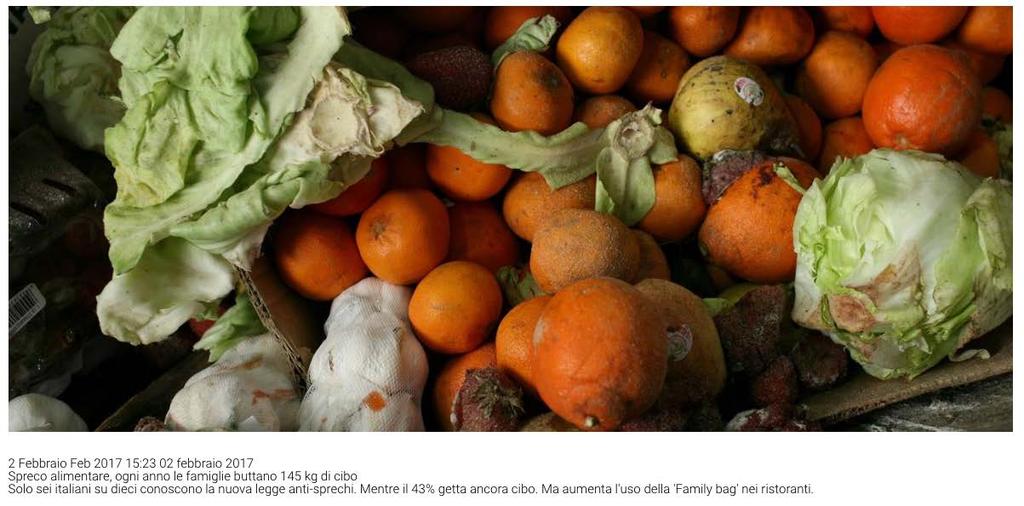 Ogni anno le famiglie buttano 145 kg di cibo. È la stima realizzata dall'osservatorio nazionale Waste Watcher di Last Minute Market/Swg.