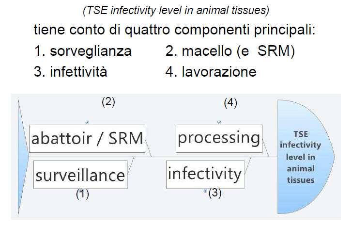 Modello