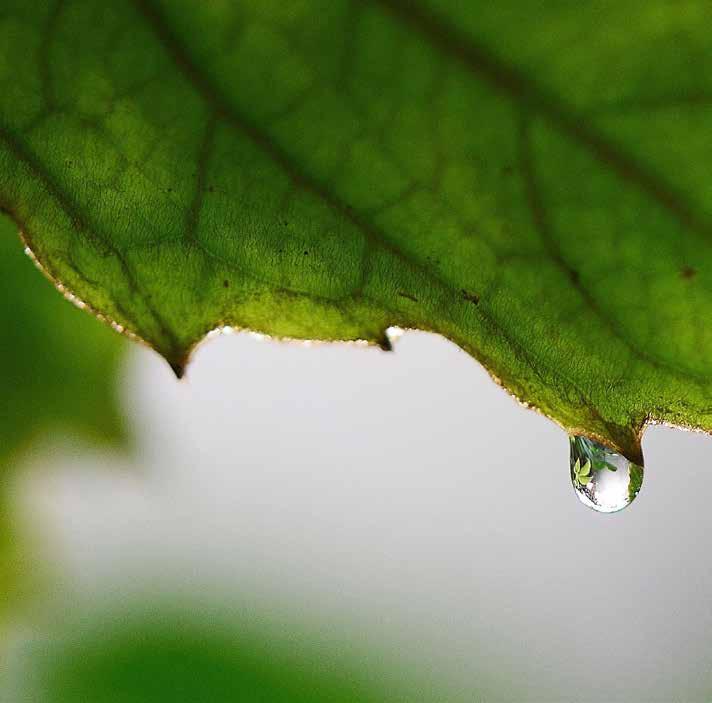 L elevata umidità può danneggiare i prodotti, favorire la formazione di muffa, la proliferazione degli acari della polvere e la corrosione.