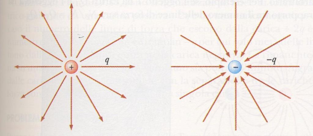 Le linee di forza del campo elettrico Sono una rappresentazione del campo Sono le linee tangenti ad E(P) in ogni punto