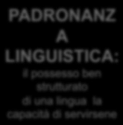 INTERAZIONE VERBALE PADRONANZ A LINGUISTICA: il possesso ben strutturato di una lingua la capacità di servirsene