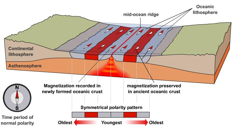 Allontanandosi dalla dorsale, invece, fasce di rocce a polarità magnetica normale si alternavano a fasce con polarità inversa e la disposizione di queste fasce era perfettamente simmetrica, ed era