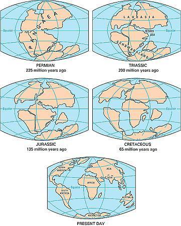 Wegener pubblicò la teoria della deriva dei continenti nel 1915, essa diceva che un tempo tutti i continenti erano uniti in un unico grande