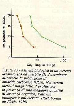 del suolo, sulla biodiversità