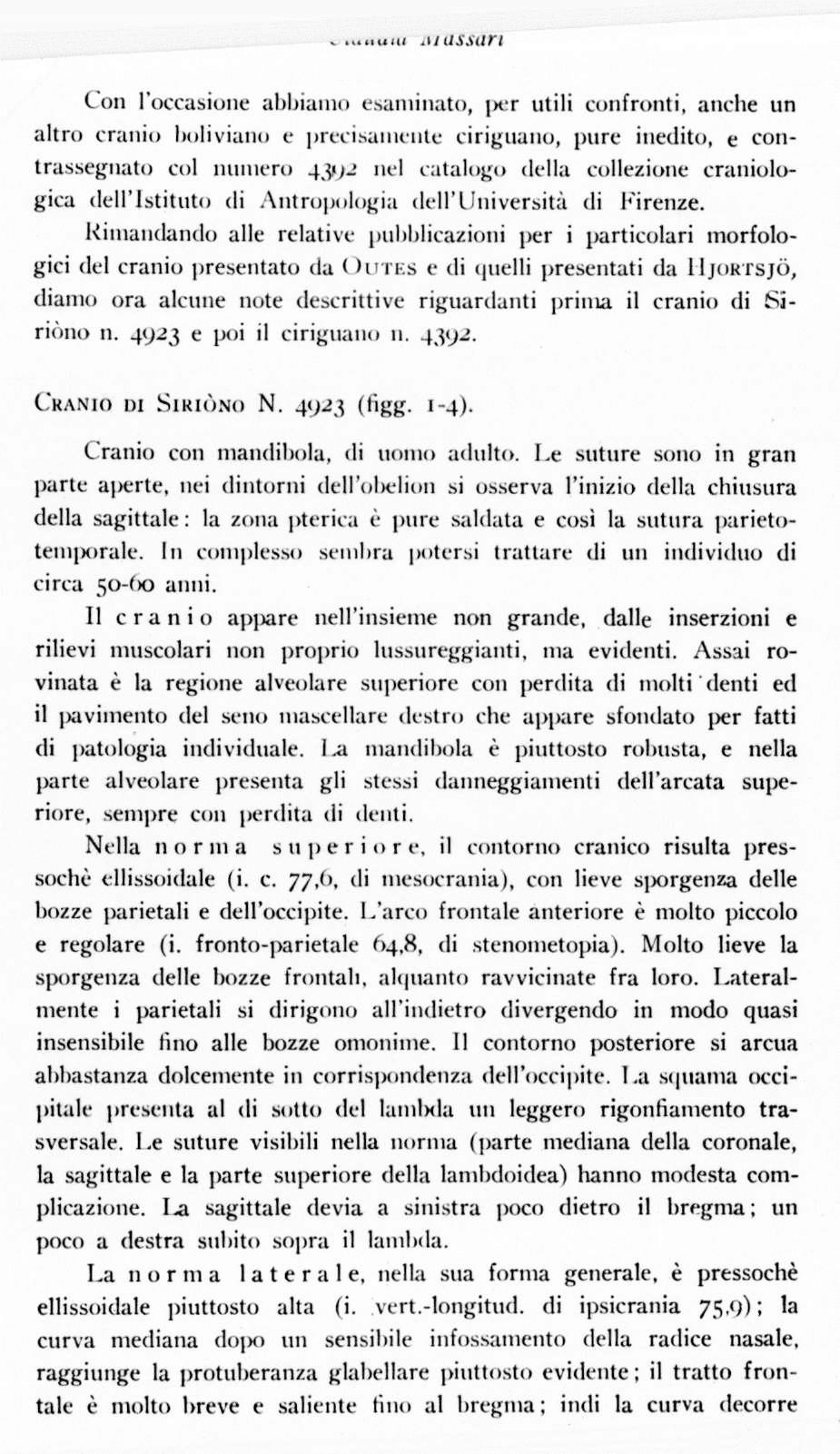 . luduui ili ussari Con l'occasione abbiamo esaminato, i>er utili confronti, anche un altro cranio boliviano e precisamente origliano, pure inedito, e contrassegnato col numero 43»)- nel catalogo