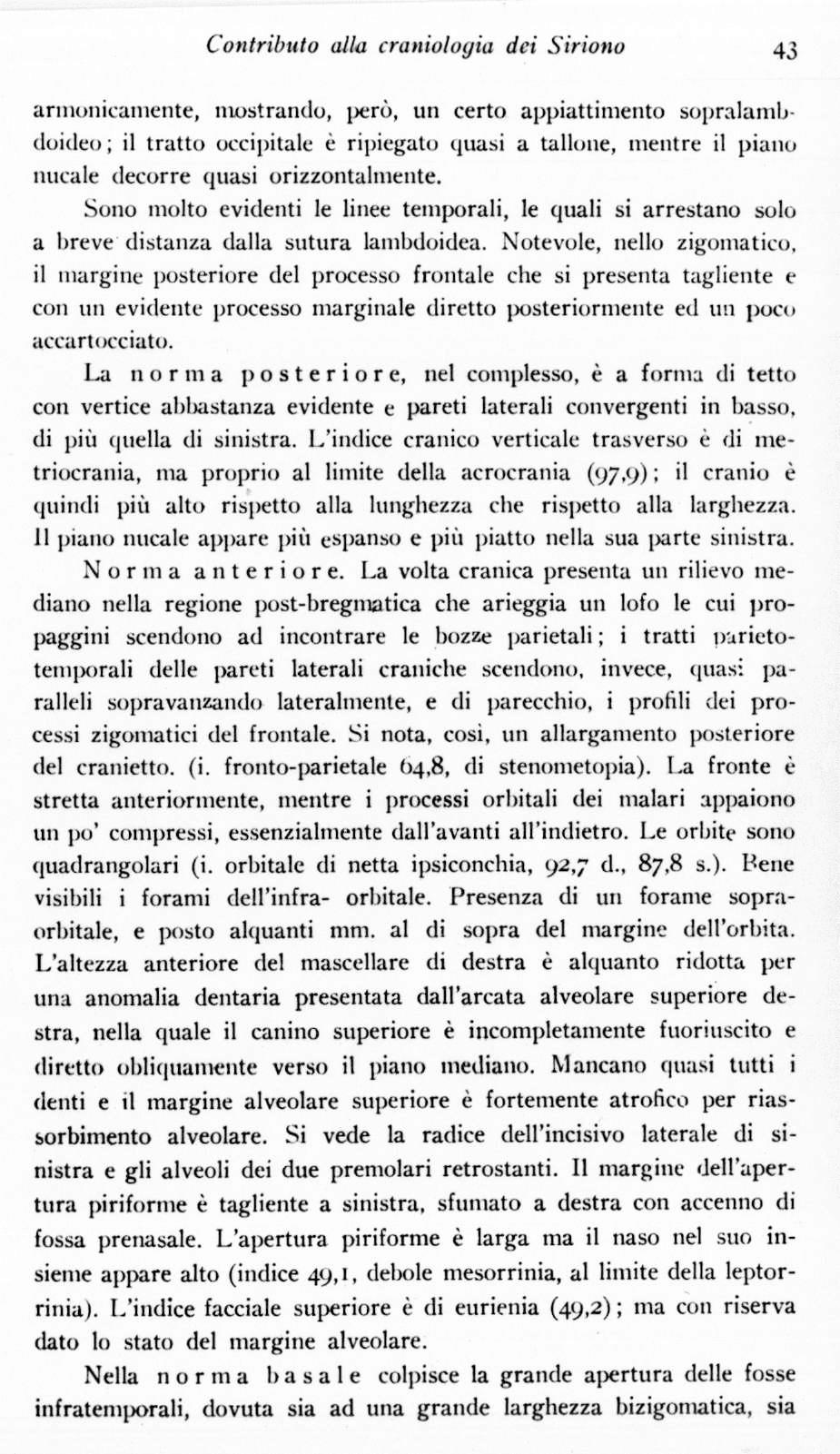 Contributo alla craniologia dei Siriono 43 armonicamente, mostrando, però, un certo appiattimento sopralambdoideo ; il tratto occipitale è ripiegato quasi a tallone, mentre il piano liticale decorre