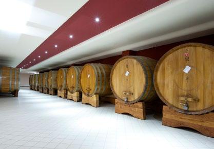 La Cantina Il vino è l espressione finale della qualità dell uva nel rispetto del territorio.