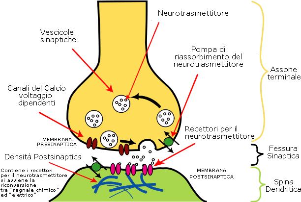 Giunzione