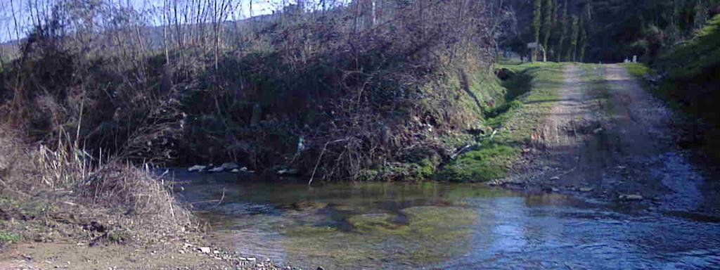 PROGETTAZIONE E AUTORIZZAZIONE DI UN GUADO SOMMERGIBILE SUL BORRO DELLA LUSIGNANA Committente: Sig.