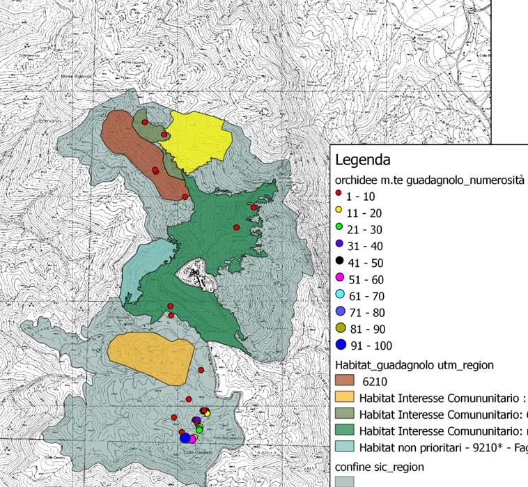 RISULTATI Elenco del popolamento vegetale nei 3 SIC (R. 111, G. 81, P.