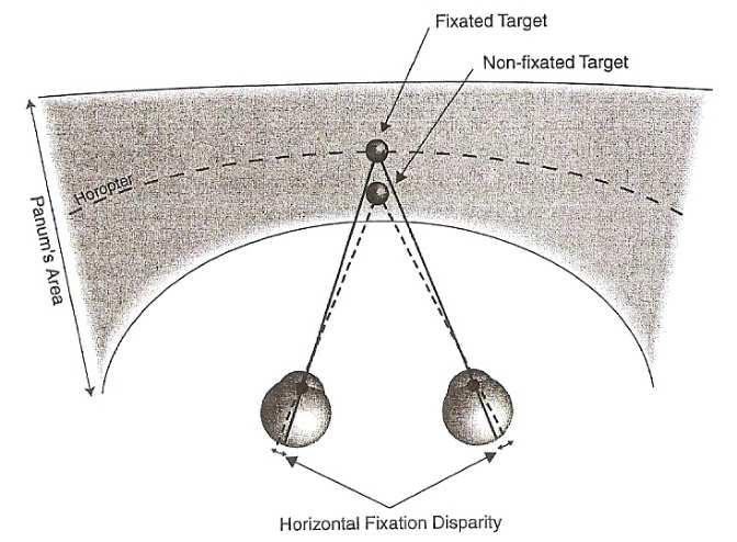 Disparità di fissazione e Area di Panum Non sempre gli occhi si allineano perfettamente sul punto di fissazione.
