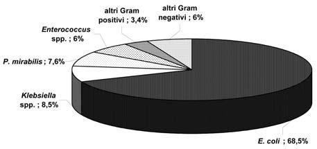 (35.7%), CIP (33.9%) e GN (16.1%). Percentuali di resistenza inferiori al 10% sono state osservate solo per CAZ (8.9%), FT (3.6%) e IPM (0%). Per quanto riguarda gli stipiti di E.