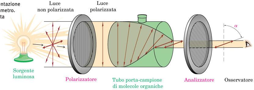 Stereochimica: polarimetro Rappresentazione schematica di un polarimetro.