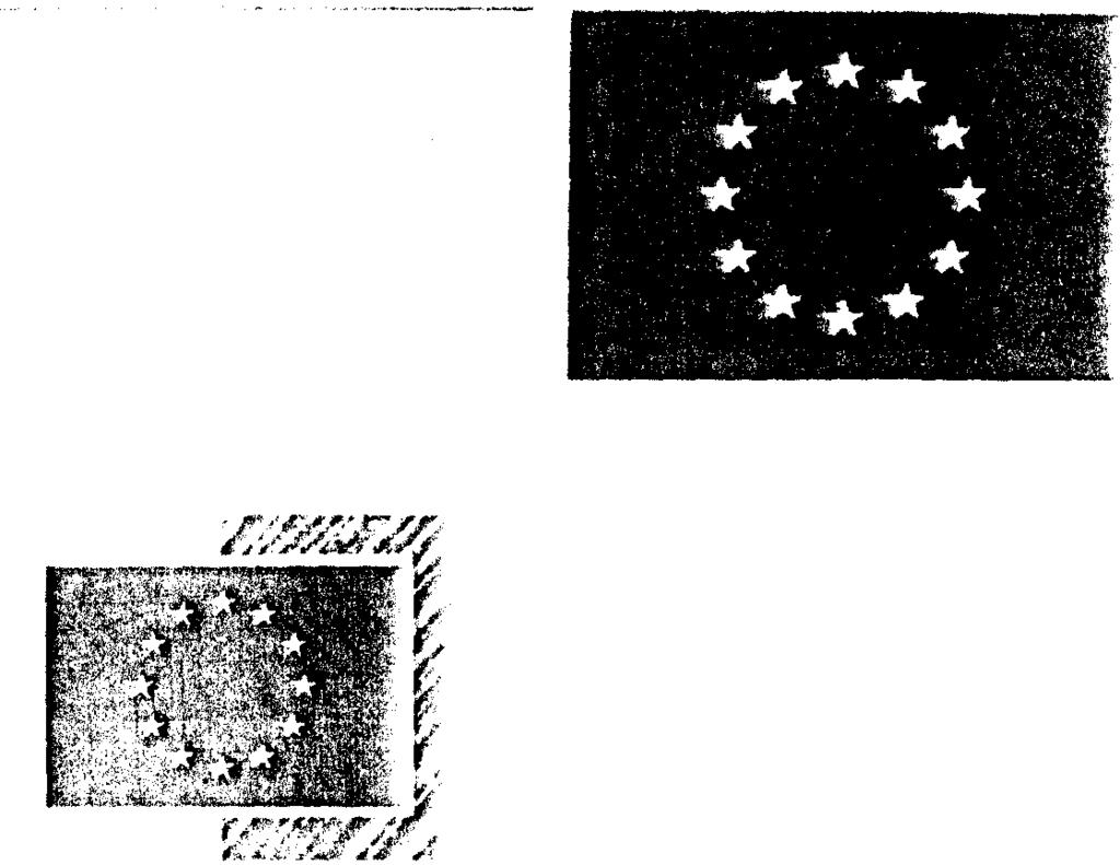L'emblema dell'unione europea L'emblema ha forma di bandiera rettangolare, con lunghezza 1,5 volte l'altezza. In ogni caso l'altezza minima non può essere minore di 2 cm.