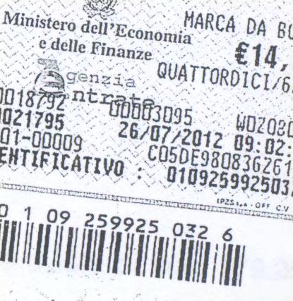 GIORGI BRUNO, Responsabile Unico del Procedimento il quale dichiara di l intervenire in nome, conto ed interesse del Comune di Falerna che legalmente rappresenta, C.F 00376490793.