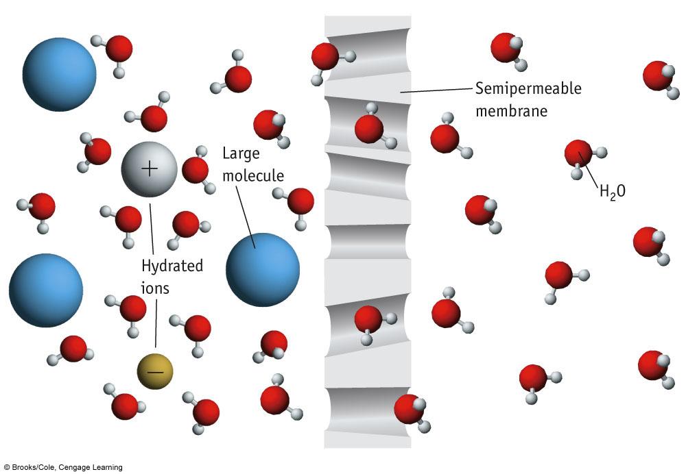 Figure 14.