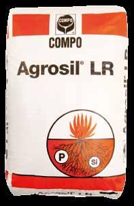 STIMOLANTE RADICALE AD EFFETTO STARTER MANUTENZIONE DEI TAPPETI ERBOSI : TABELLA RIASSUNTIVA Agrosil LR L acqua è una risorsa preziosa e determinante per garantire la qualità del tappeto erboso, ma