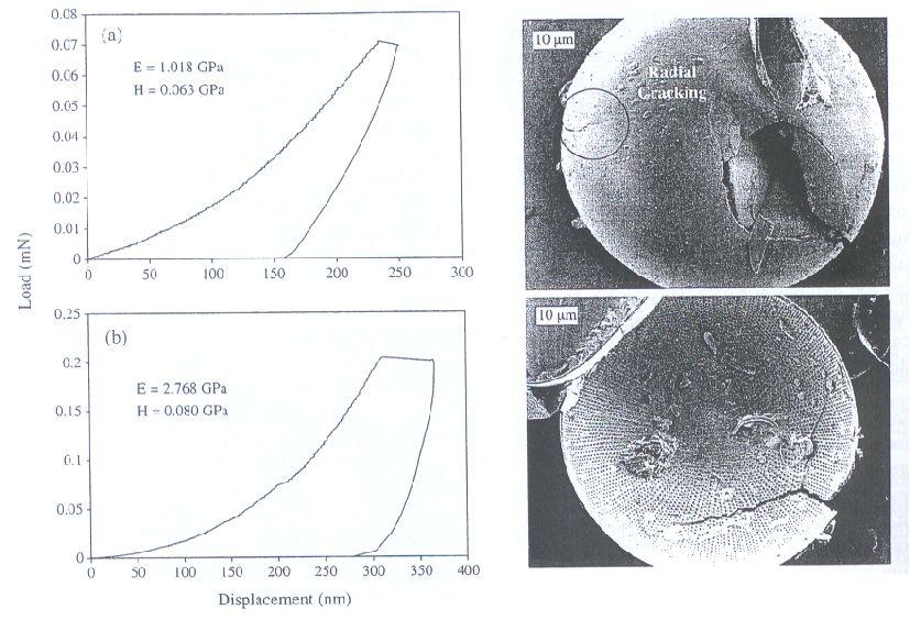 MISURARE LE PROPRIETA MECCANICHE DELLE DIATOMEE: NANO-INDENTAZIONE Nanoindentazione