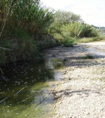 STAZIONE R110294TS Il sito di monitoraggio si trova a Grottammare ad una distanza dalla sorgente di circa 35 km. Il substrato è costituito da ciottoli, ghiaia, sabbia e limo.