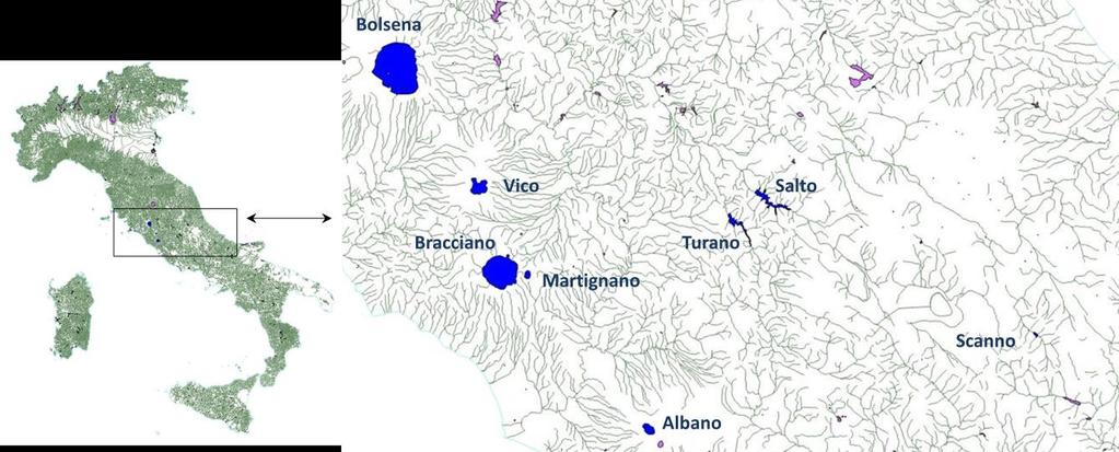 2. Area di Studio Sono stati studiati i seguenti otto ecosistemi lacustri appertenenti tutti all Ecoregione Mediterranea (Fig 6): Albano, Bracciano, Bolsena, Martignano, Vico, Salto, Scanno e Turano.