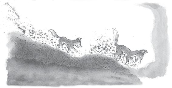 1. DIARIO ANIMALESCO L autore racconta alcune abitudini e caratteristiche delle volpi: dove vivono, cosa mangiano, come si comportano.
