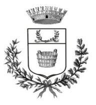 COMUNE DI BRENTONICO Provincia di Trento OGGETTO: Proposta di deliberazione della Giunta comunale relativa a: Concessione in uso alla sig.