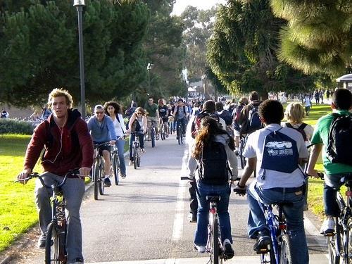 Piano Urbano della Mobilità Sostenibile Prato progetta con i cittadini la mobilità del futuro Gruppo di lavoro PUMS STRUTTURA