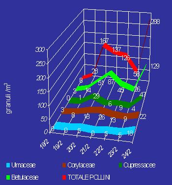 Sono comparsi anche i pollini di Cupressacee/Taxacee (soprattutto Cipresso), responsabili di "pollinosi emergenti" per il recente riscontro di