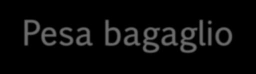 1.500 Punti Pesa bagaglio SOEHNLE Pesa bagaglio Cod.