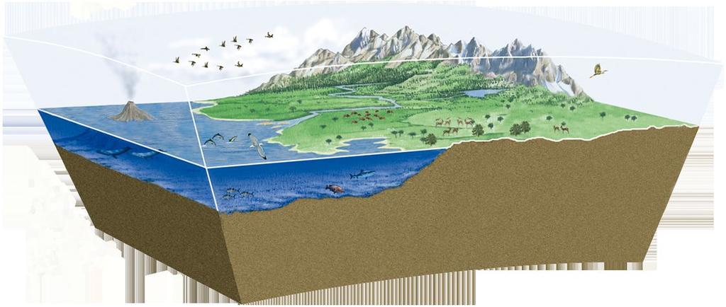 1.8 Il sistema Terra e le sue «sfere» L insieme delle diverse parti del nostro pianeta e le loro