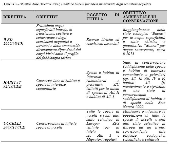 Il PRA dell Agro Pontino trae dunque ispirazione dai temi della Direttiva sulle Acque in riferimento alla tutela delle acque superficiali e rispecchia nelle sue azioni alcuni dei principi