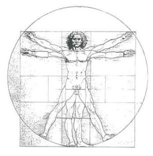 Analogie anatomiche In tutte le epoche e in tutte le culture, la forma con cui sono concepiti abitazioni, templi, città e villaggi non è semplicemente dettata dalla pura fantasia del progettista ma è