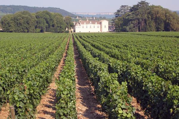 Il VIAGGIO GIORNO PER GIORNO 1 giorno: Arrivo individuale a Beaune Arrivo individuale a Beaune, città principale della viticoltura della Borgogna.