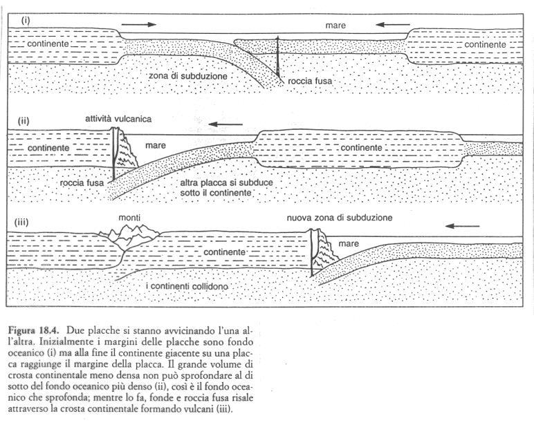 Tettonica