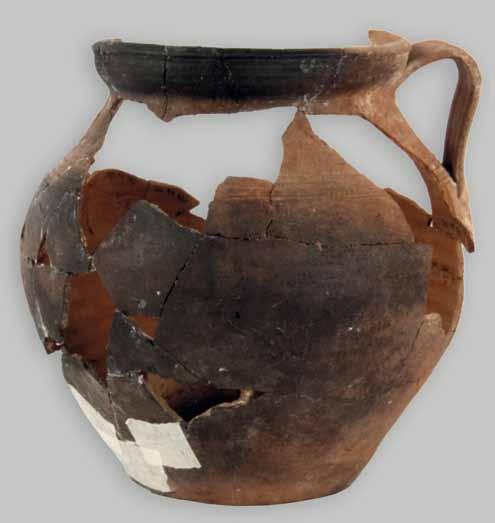 Ceramica da Fuoco Acroma da fuoco F 1. Pignata n. inv. TA 413 Pignate Argilla marrone, poco depurata; inclusi; vacuoli; a tornio veloce.